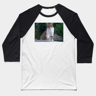 Lucy Queen of the Neighbourhood Cat Portrait Baseball T-Shirt